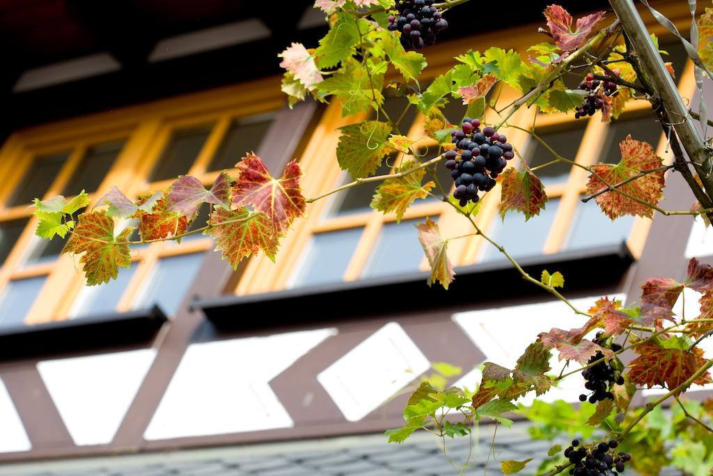 Landgasthof Rebstock Sankt Goar Dış mekan fotoğraf